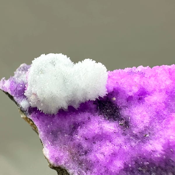 Vivid violet aragonite with white tuft on dark rock from Yunnan, China, second angle
