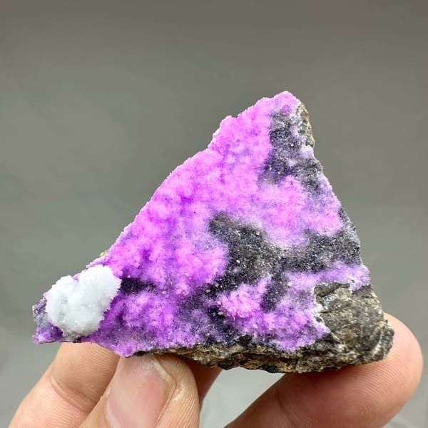 Vivid violet aragonite with white tuft on dark rock from Yunnan, China, close-up of the crystal faces