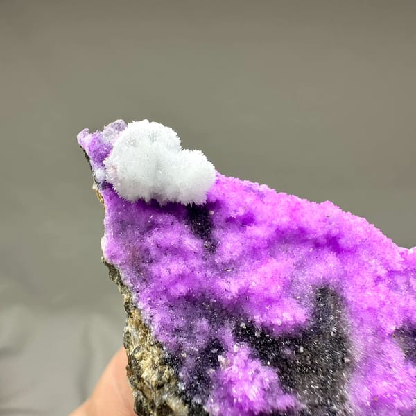 Vivid violet aragonite with white tuft on dark rock from Yunnan, China, reverse side