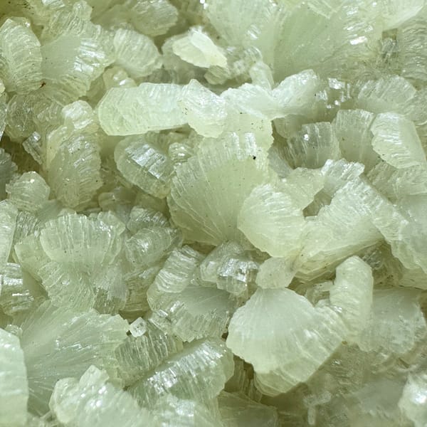 Pale green bow-tie prehnite plate with epidote from Morocco, second angle