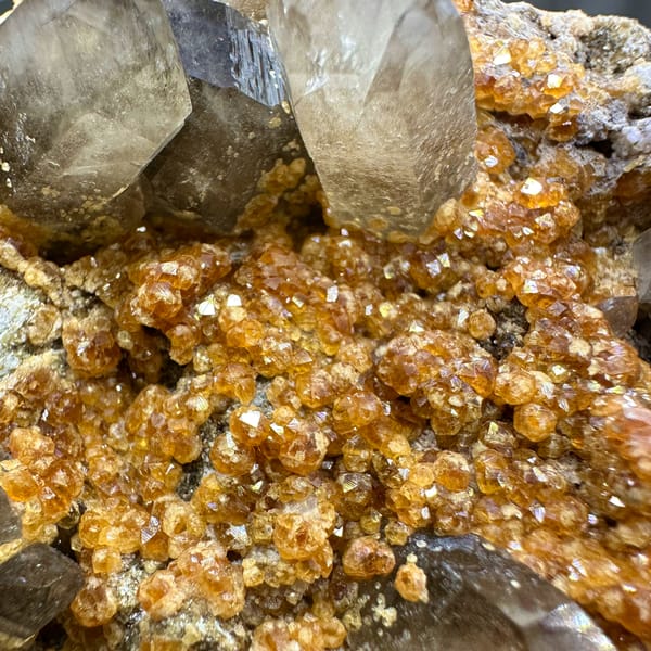 Smoky quartz points over Fanta-orange garnet druse from Yunxiao, Fujian, China, close-up of the crystal faces