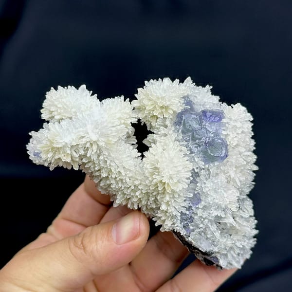 White quartz-needle flowers around blue-green fluorite from Fujian, China, held in hand