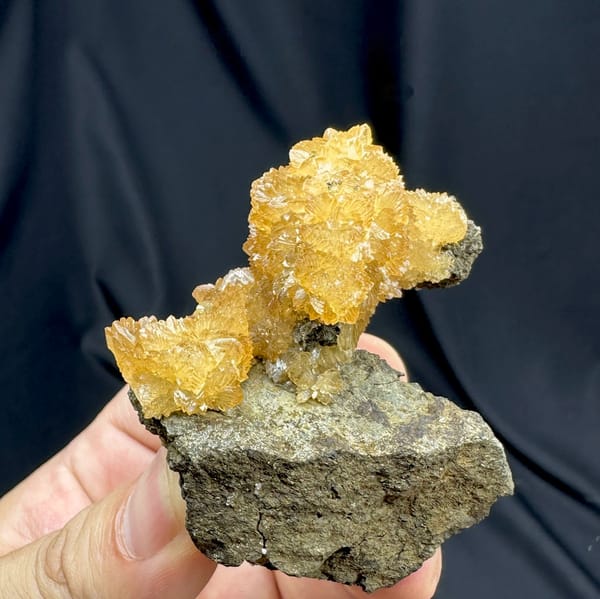 Golden-yellow calcite crystals on dark grey rock from Inner Mongolia, China, held in hand
