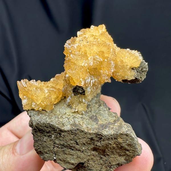 Golden-yellow calcite crystals on dark grey rock from Inner Mongolia, China, close-up of the crystal faces