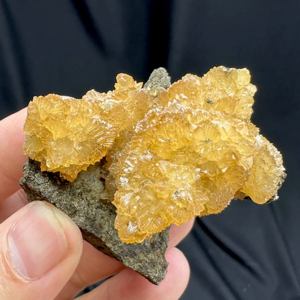 Golden-yellow calcite crystals on dark grey rock from Inner Mongolia, China, top view