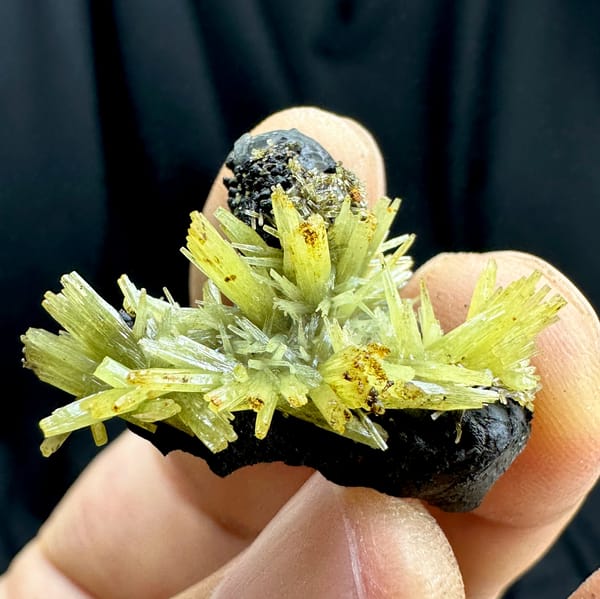 Yellow-green pyromorphite flower cluster on black matrix from Guangxi, China, second angle