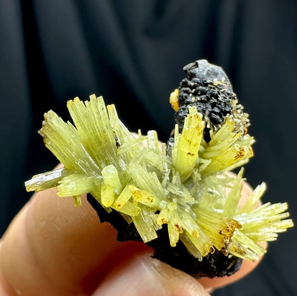 Yellow-green pyromorphite flower cluster on black matrix from Guangxi, China, close-up of the crystal faces