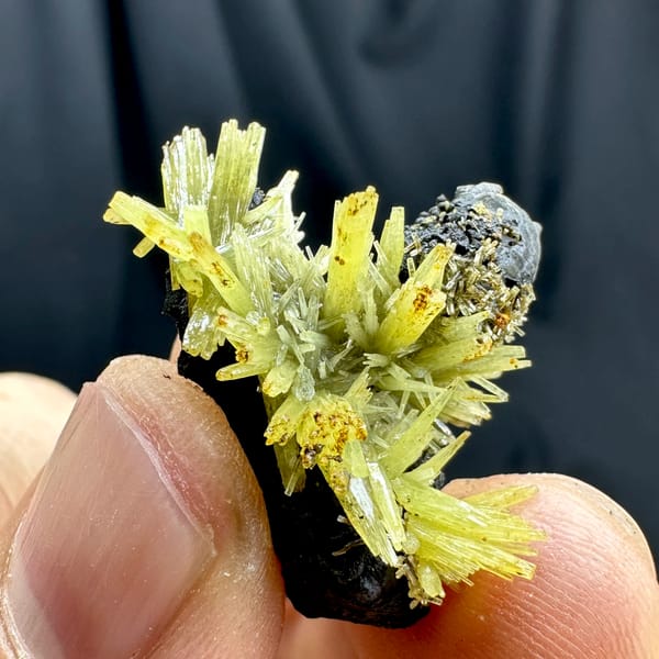 Yellow-green pyromorphite flower cluster on black matrix from Guangxi, China, reverse side