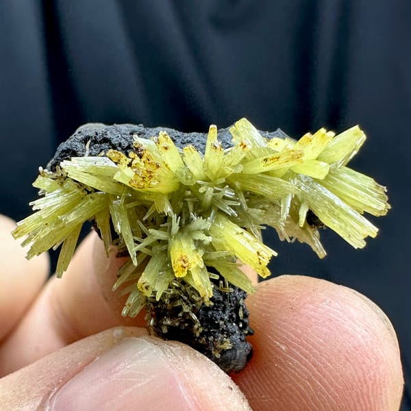 Yellow-green pyromorphite flower cluster on black matrix from Guangxi, China, top view