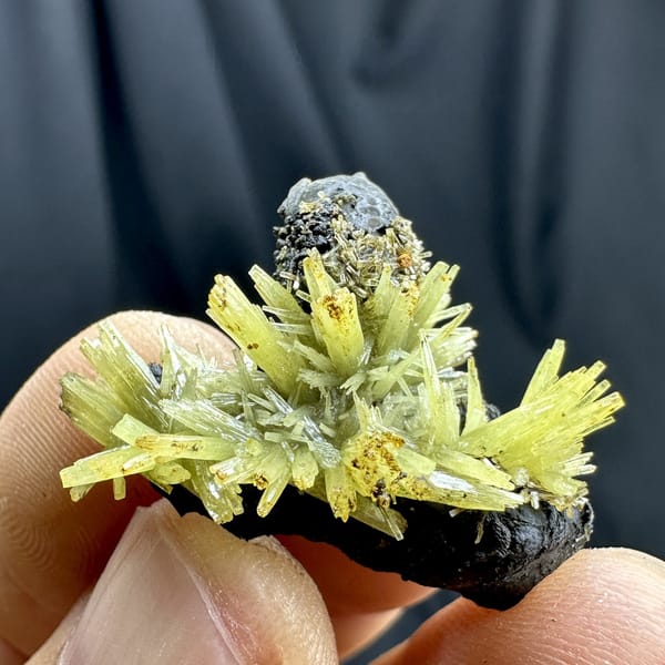 Yellow-green pyromorphite flower cluster on black matrix from Guangxi, China, detail of the matrix contact