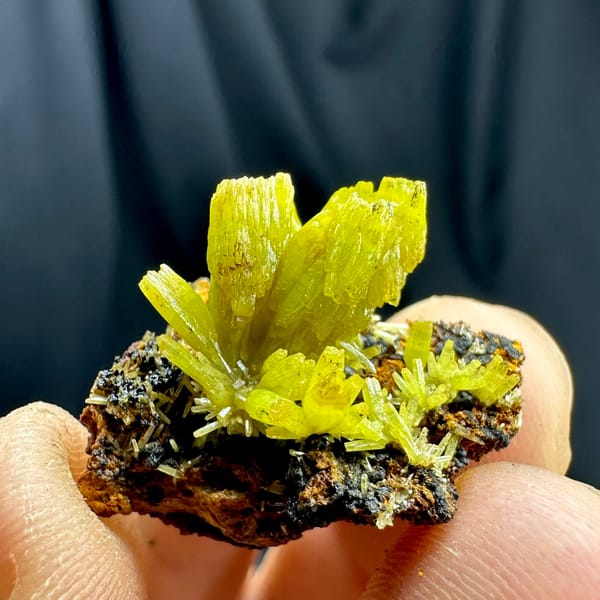 Matcha-yellow cup-shaped pyromorphite prisms from Guangxi, China, held in hand