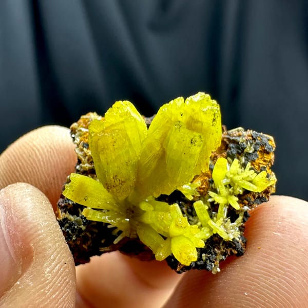 Matcha-yellow cup-shaped pyromorphite prisms from Guangxi, China, close-up of the crystal faces