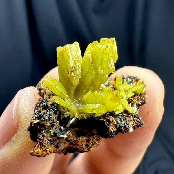 Matcha-yellow cup-shaped pyromorphite prisms from Guangxi, China, reverse side