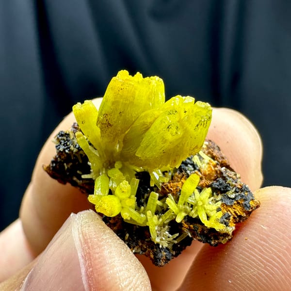Matcha-yellow cup-shaped pyromorphite prisms from Guangxi, China, top view