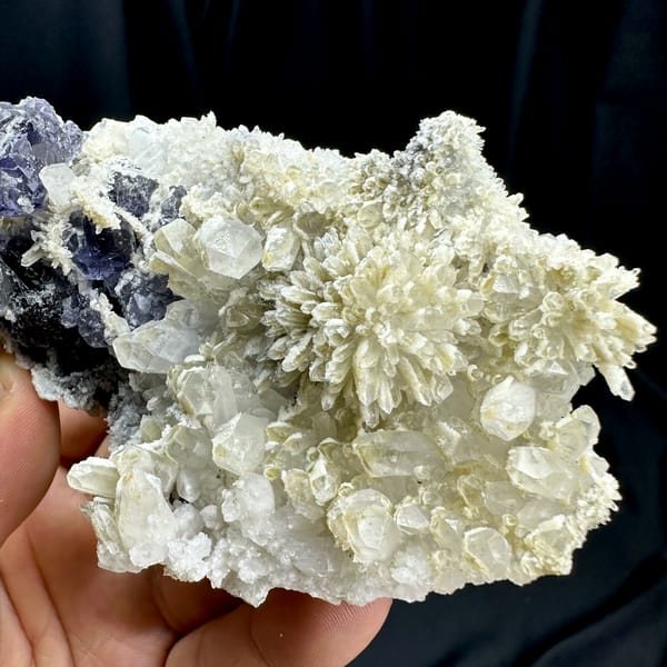 Violet fluorite cubes beside chrysanthemum quartz spray on white druse from Fujian, China, second angle