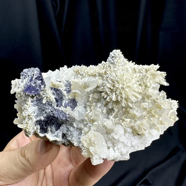 Violet fluorite cubes beside chrysanthemum quartz spray on white druse from Fujian, China, detail of the matrix contact