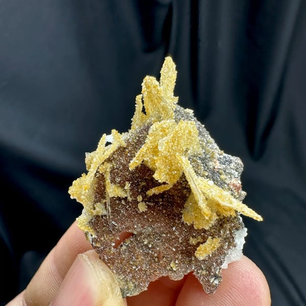 Golden layered wafer-biscuit calcite on dark matrix from Yunxiao, Fujian, China