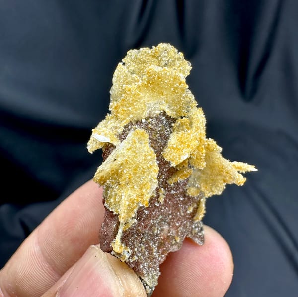 Golden layered wafer-biscuit calcite on dark matrix from Yunxiao, Fujian, China, second angle