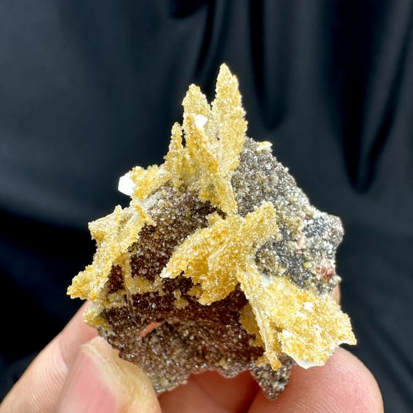 Golden layered wafer-biscuit calcite on dark matrix from Yunxiao, Fujian, China, close-up of the crystal faces