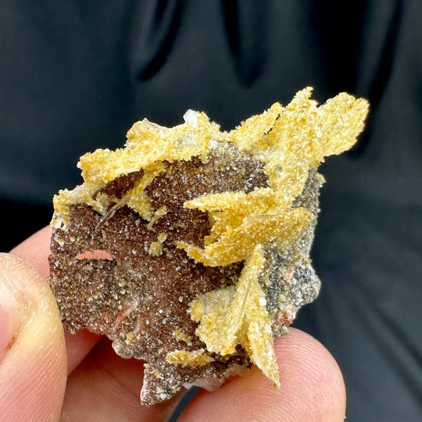 Golden layered wafer-biscuit calcite on dark matrix from Yunxiao, Fujian, China, reverse side
