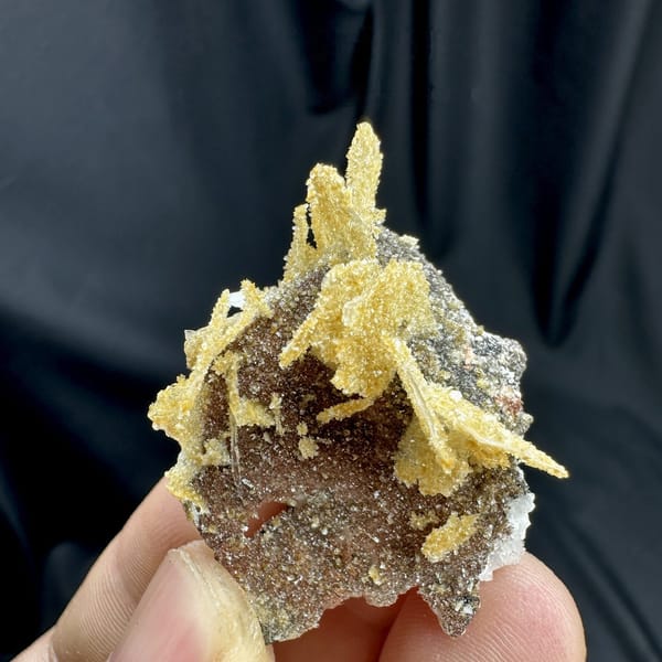 Golden layered wafer-biscuit calcite on dark matrix from Yunxiao, Fujian, China, detail of the matrix contact