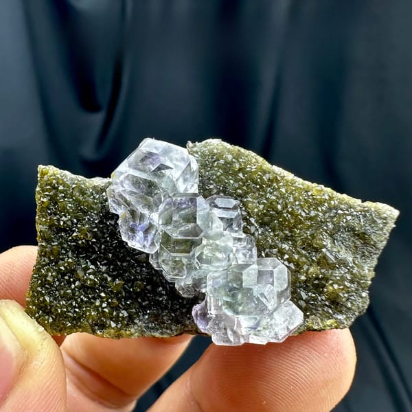 Glassy blue-green stepped fluorite cubes on olive quartz from Fujian, China, held in hand