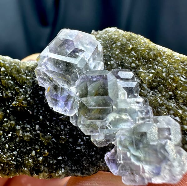 Glassy blue-green stepped fluorite cubes on olive quartz from Fujian, China, second angle