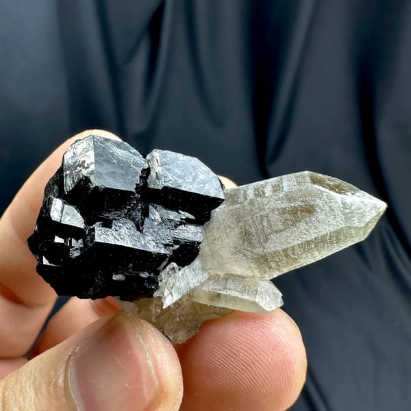 Clear smoky quartz point on black tourmaline base from Namibia, reverse side
