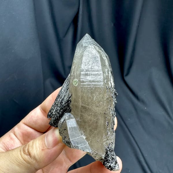Large smoky quartz crystal with black tourmaline base from Namibia, held in hand