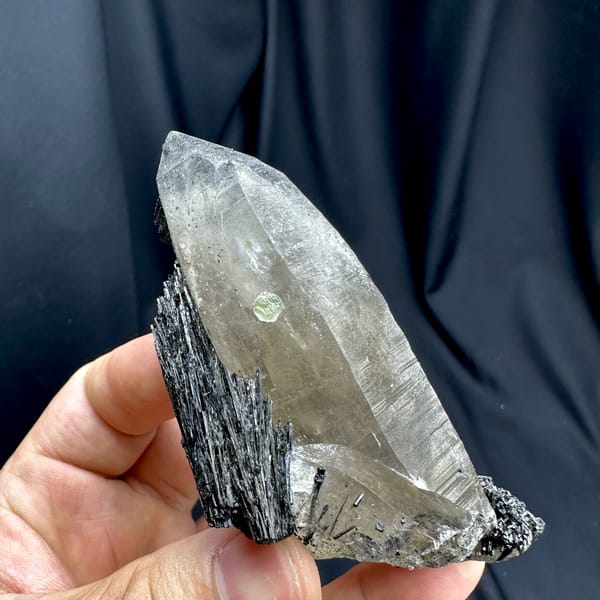 Large smoky quartz crystal with black tourmaline base from Namibia, second angle