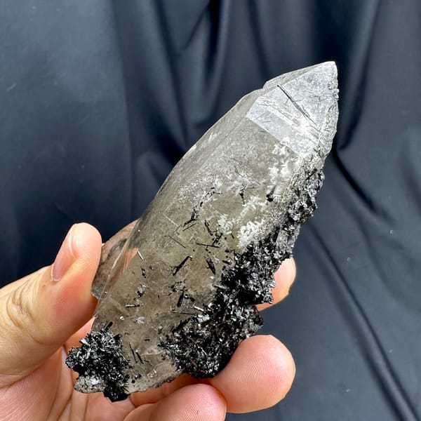 Large smoky quartz crystal with black tourmaline base from Namibia, top view