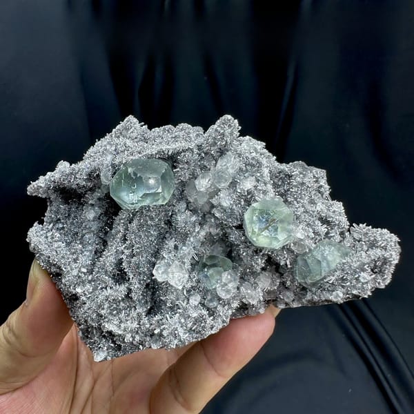 Blue-windowed green fluorite cubes on dark quartz druse from Fujian, China, held in hand