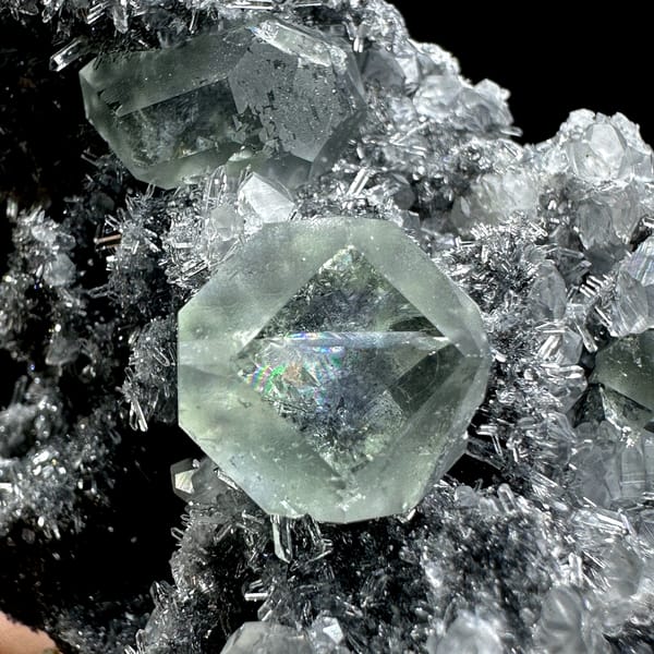 Blue-windowed green fluorite cubes on dark quartz druse from Fujian, China, reverse side