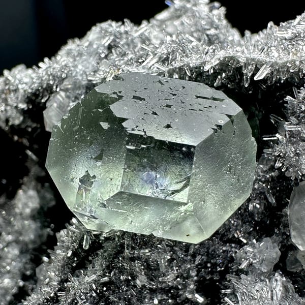 Blue-windowed green fluorite cubes on dark quartz druse from Fujian, China, top view