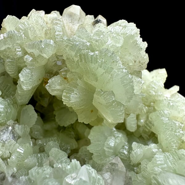 Mound of pale green fan-shaped prehnite from Morocco, reverse side
