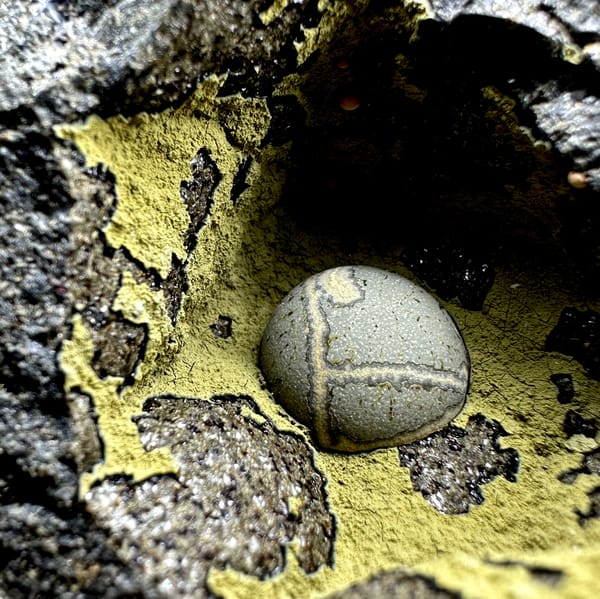 Matcha-green calcite ball inside yellow-lined rock pocket from Fujian, China, top view