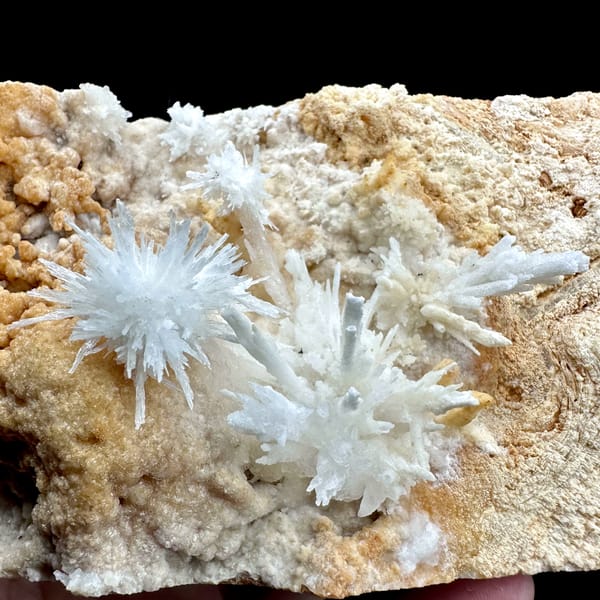 White aragonite flowers on tan sandstone block from Yunnan, China, close-up of the crystal faces