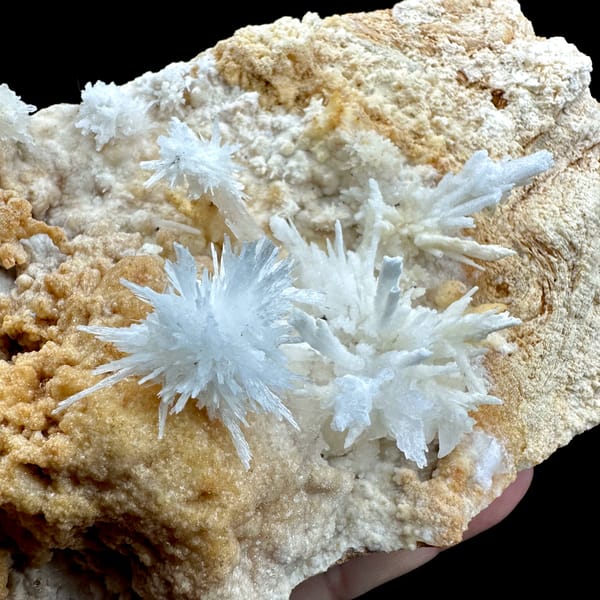 White aragonite flowers on tan sandstone block from Yunnan, China, top view