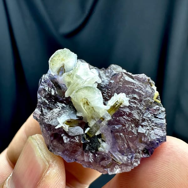Purple-blue phantom fluorite with white calcite rosettes from Inner Mongolia, China, held in hand