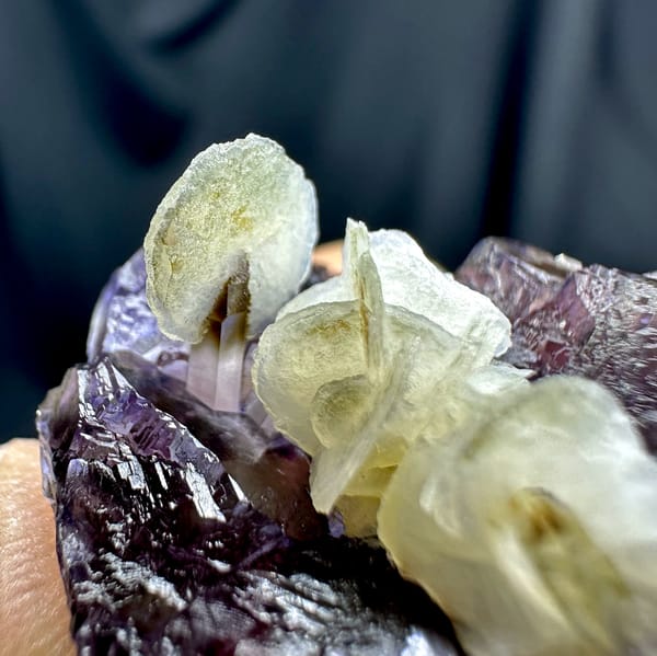Purple-blue phantom fluorite with white calcite rosettes from Inner Mongolia, China, close-up of the crystal faces