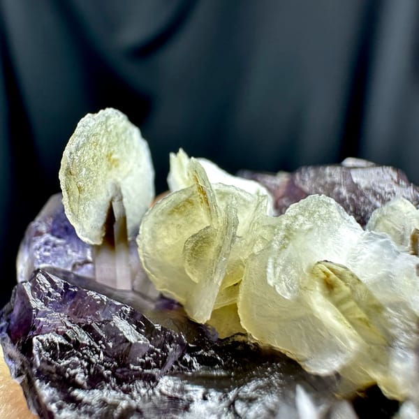 Purple-blue phantom fluorite with white calcite rosettes from Inner Mongolia, China, top view