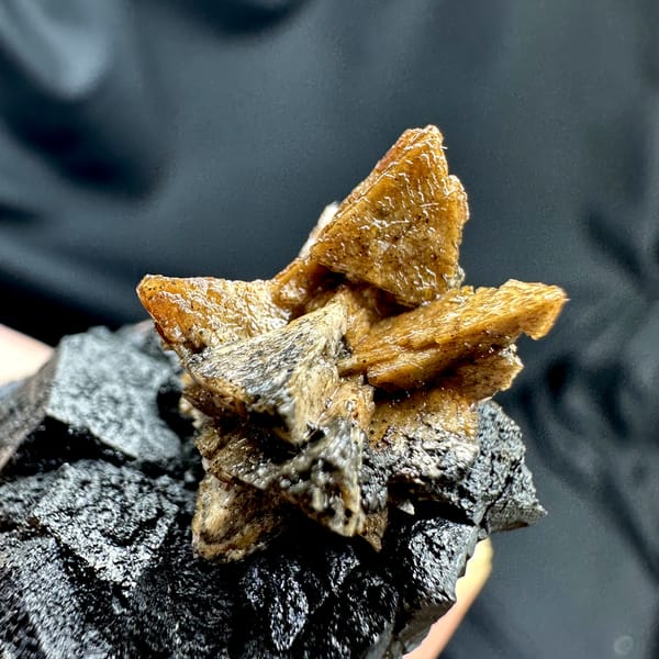 Black magnetite crystals with golden helvine tuft from Inner Mongolia, China, second angle