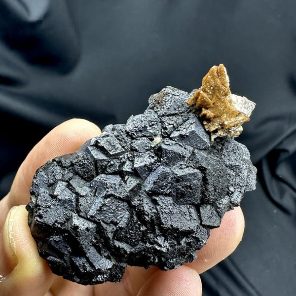 Black magnetite crystals with golden helvine tuft from Inner Mongolia, China, detail of the matrix contact