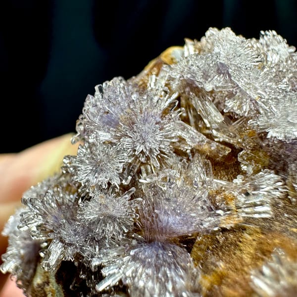 Lavender creedite flowers on ochre matrix from Guizhou, China, close-up of the crystal faces