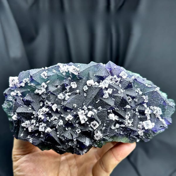 Plate of blue-violet fluorite octahedra with white fluorite cubes from Zhejiang, China, held in hand