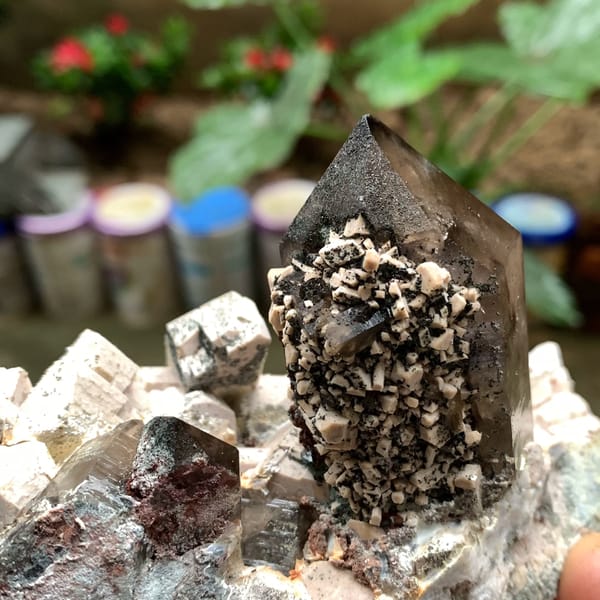 Tall smoky quartz crystal in white feldspar from Fujian, China, close-up of the crystal faces