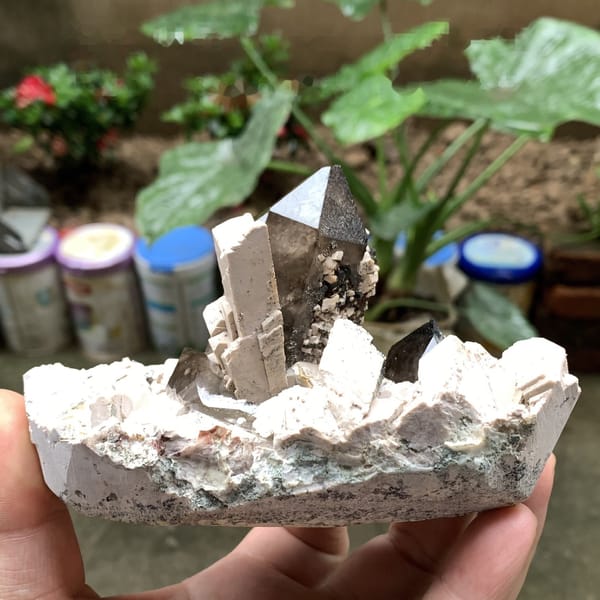 Tall smoky quartz crystal in white feldspar from Fujian, China, detail of the matrix contact