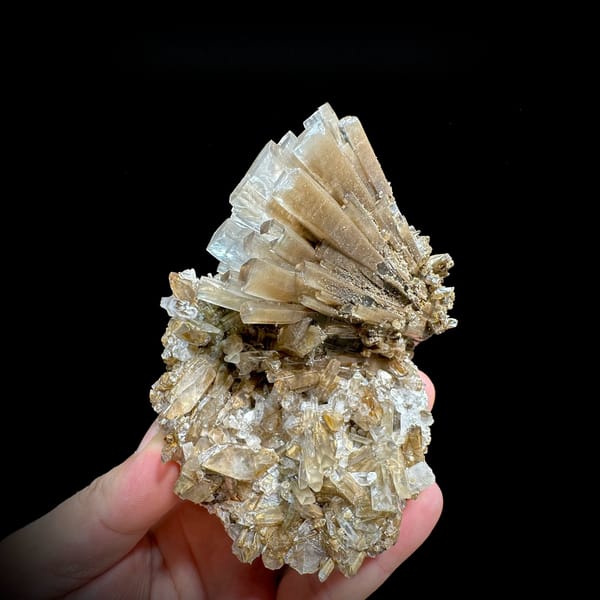 Tea-coloured radiating calcite fan on bladed calcite base from Fujian, China, held in hand