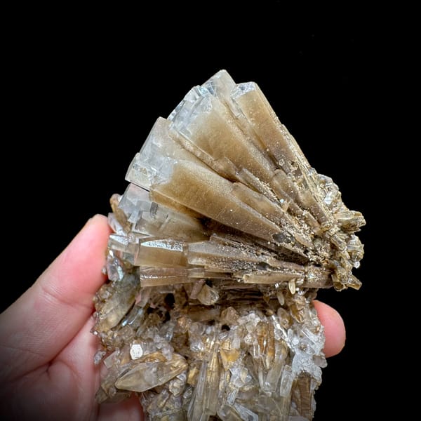 Tea-coloured radiating calcite fan on bladed calcite base from Fujian, China, second angle