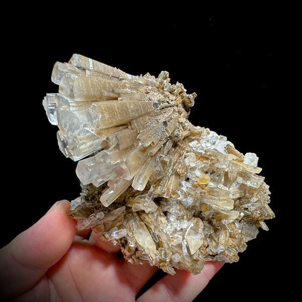 Tea-coloured radiating calcite fan on bladed calcite base from Fujian, China, reverse side